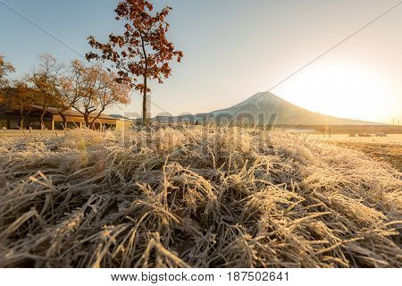 Mount Fuji Fujisan sunrise at Fumoto Japan