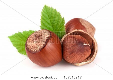 Hazelnuts with leaves isolated on white background.