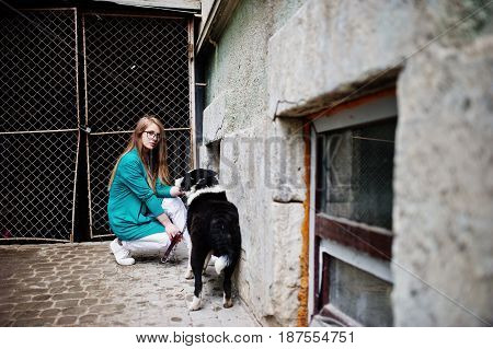 Trendy Girl At Glasses And Ripped Jeans With Russo-european Laika (husky) Dog On A Leash, Against St