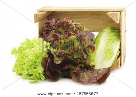 fresh romaine and red lettuce in a wooden crate on a white background