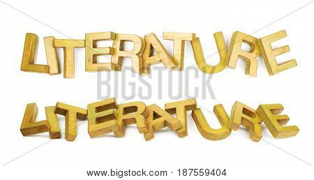 Word Literature made of colored with paint wooden letters, composition isolated over the white background, set of two different foreshortenings