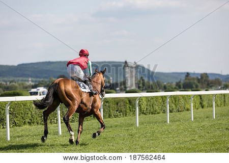 racing horse coming first to finish line in summer day rider on the racing circuit competition