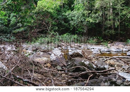 Thai dark tropical forest and rapid mountain river in Mu Koh Chang National Park, Chang island, Thailand. Path to the Khlong Phlu waterfall is littered with dry branches. Natural background.