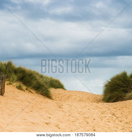 Formby Beach  Near Liverpool On A Sunny Day