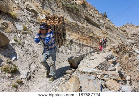 Marpha village, Nepal - May 14, 2016: Nepalese people colect wood near Marpha village in Lower Mustang district, Nepal