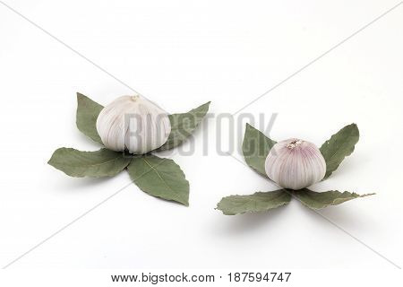 Buds Of Flowers, From Fresh Bulbs Of Garlic And A Laurel Leaf On A White Background