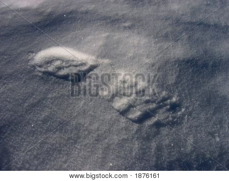 Footprint In Snow