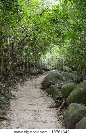 nature walkway in Khao Chamao , Rayong , Thailand