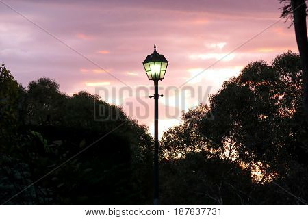 Australian suburban sunset orange sky with gum tree silhouette Narnian Narnia lamp post