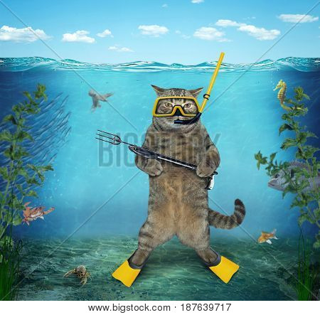 The cat diver with a speargun is under water in the sea.
