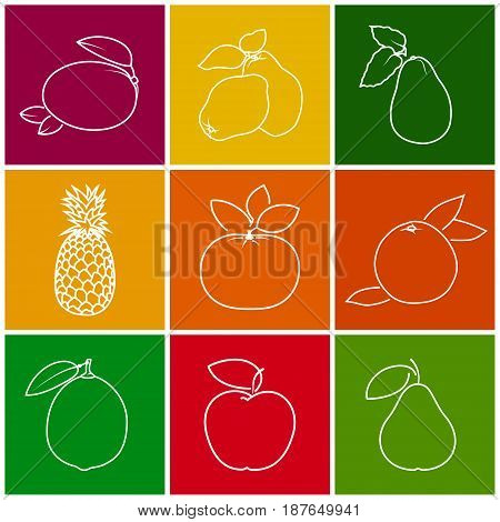 Linear Tropical Citrus Fruit Icons Apple, Pear, Mandarin and Lime, Mango with Pineapple, Avocado, Grapefruit and Quince on Colored Background, Thin Line Style Design, Vector Illustration