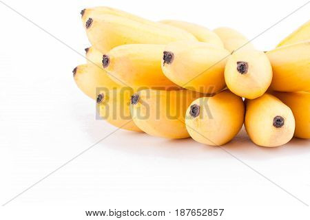 yellow  egg banana or  hand of ripe  golden bananas   on white background healthy Pisang Mas Banana fruit food isolated