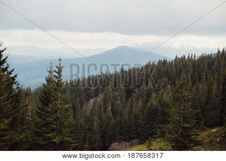landscape in mountains Carpathians Ukraine Dragobrat Horizontal image