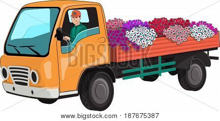 Truck transports flowers.  Isolated on white background