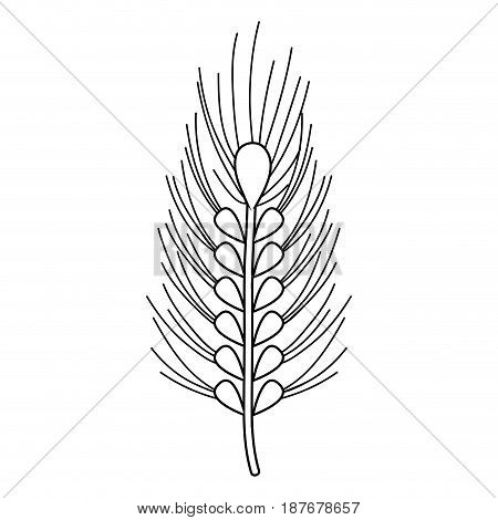 silhouette healthy wheat organ plant nutricious, vector illustration