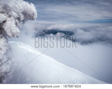 Highest points of Low Tatras - Chopok peak and Dumbier peak (Slovakia). Beautiful winter mountains landscape above the clouds.