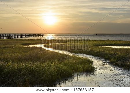 Ocean salt marsh with sea grass and dock at sunset
