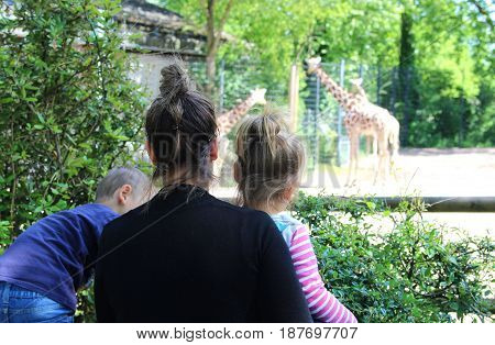 mother and her two little children looking at giraffes at the zoo