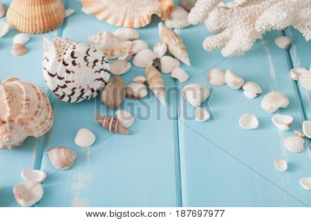 Seashells on blue wood, sea vacation background with copy space on wooden planks