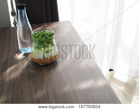 wood office table with garden tree on flowerpot and bottle of water at living room.