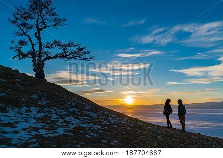 Silhouette scene of sacred tree at Cape Burkhan on Olkhon Island in Lake Baikal at sunset