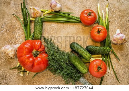 frame made from green onion and decorated with tomatoes garlic cucumbers and dill on a beige grunge cement background copy space for your text