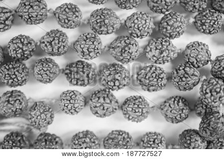 Funeral Indian beads of rudraksha seeds closeup