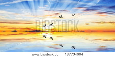 blue sunte sea
