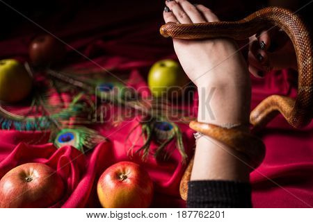 The serpent tempter wraps the witch's hands