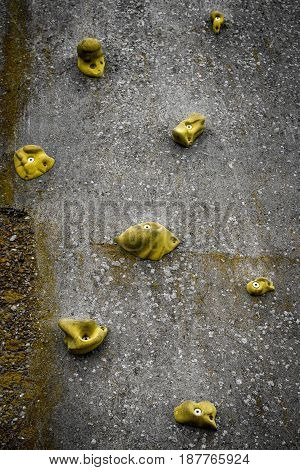 Climbing Wall With Yellow Handles