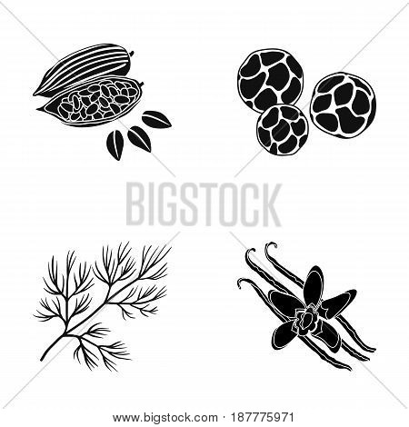 Fried cacao beans, dill, black pepper, vanilla.Herbs and spices set collection icons in black style vector symbol stock illustration .
