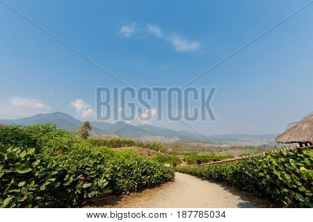 Yun Lai Viewpoint Close Pai