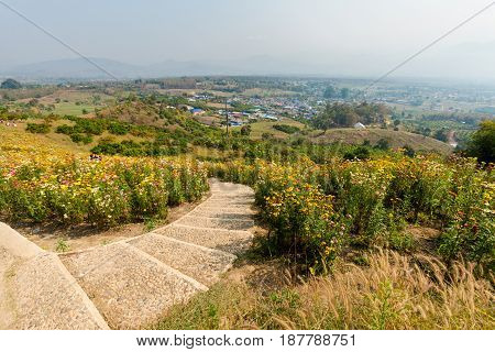 Yun Lai Viewpoint Close Pai