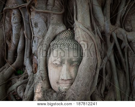 Buddha head in tree root Wat Phra Mahathat temple in Phra Nakhon Si Ayutthaya Historical Park Thailand.