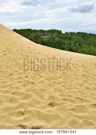 Sandy of the Dune of Pilat. Dune du Pilat the tallest sand dune in Europe located in the Arcachon Bay area France.
