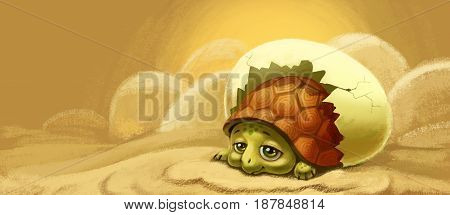 turtle hatched from the egg, sweet and sad