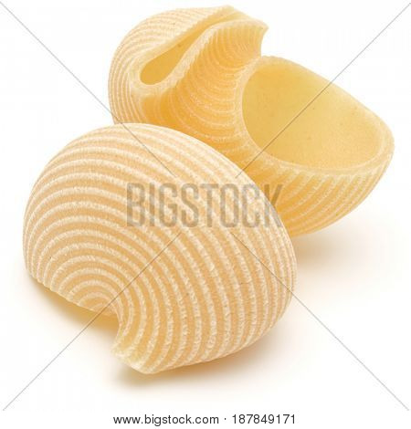 Italian lumaconi isolated on white background. Lumache, snailshell shaped pasta.