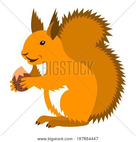 Cute smiling red squirrel holding nut. Vector cartoon illustration. Wild zoo animal icon. Fluffy ginger adult rodent standing with hazelnut. Isolated on white. Forest fauna childish character