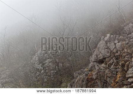 Fog in the Ucka mountains on the Istrien peninsula in Croatia.