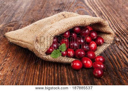 Ripe delicious cranberries in burlap bag on rustic wooden table. Healthy fruit eating.