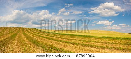Harvested empty field on the hills at sunset.Panorama picture.