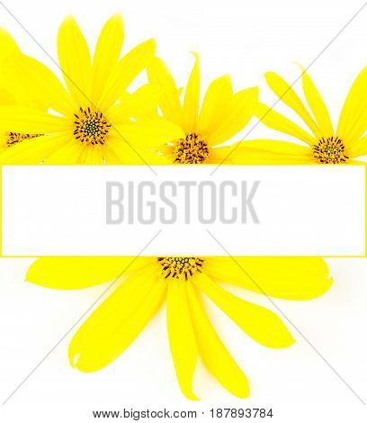 greeting card made of blossoming yellow flowers with yellow border frame on white background