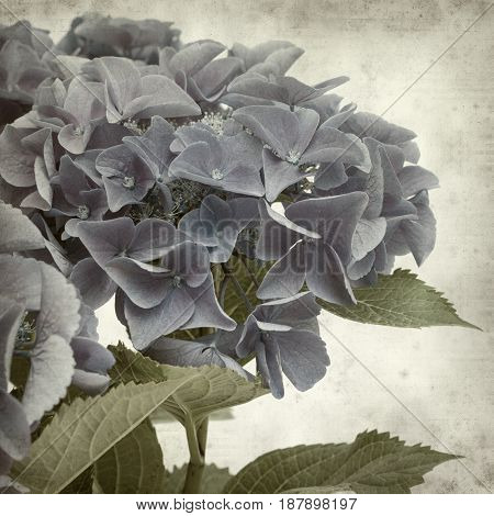 Textured Old Paper Background
