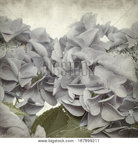 Textured Old Paper Background