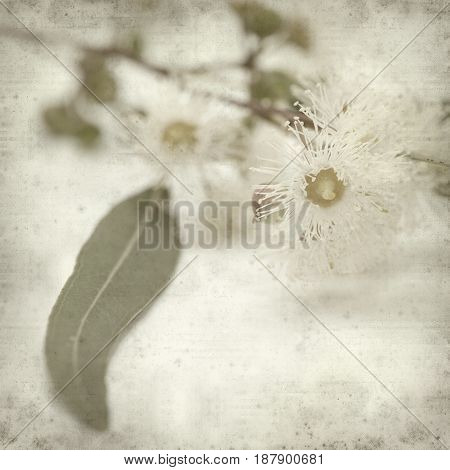 Textured Old Paper Background