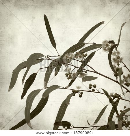 Textured Old Paper Background