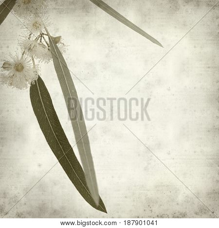 Textured Old Paper Background