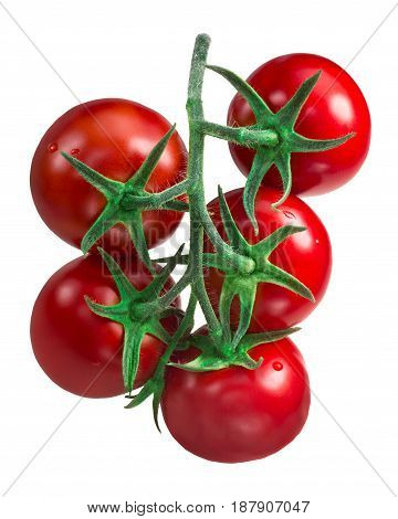 Cluster Of Tomatoes, Paths