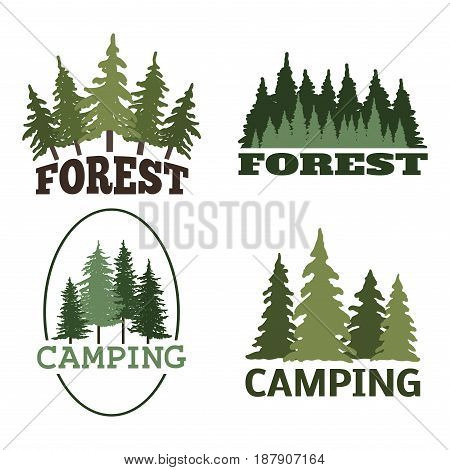 Tree outdoor travel green silhouette forest logo coniferous natural badge tops pine spruce branch cedar and plant leaf abstract stem drawing vector illustration. Panorama scene horizon decoration.
