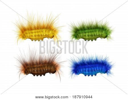 Vector set of different colorful green, yellow, brown, blue furry caterpillars side view isolated on white background